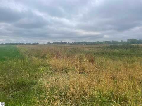 TBD E Denver Road, Rosebush, MI 48622