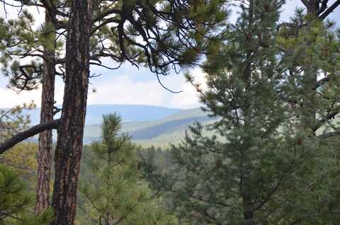 Tbd Rincon Road, Guadalupita, NM 87722