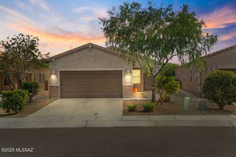 724 N Tree Mist Lane, Sahuarita, AZ 85629
