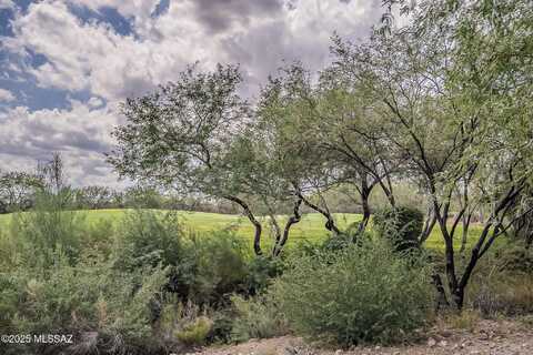 2519 W Music Mountains Drive, Green Valley, AZ 85622
