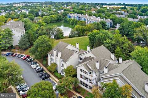 14313 CLIMBING ROSE WAY, CENTREVILLE, VA 20121
