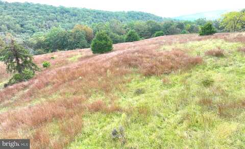 36.02 AC PARKER HOLLOW ROAD, LOST RIVER, WV 26810