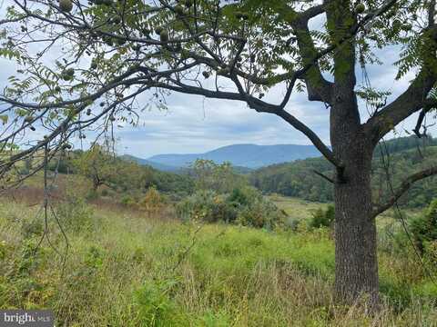 GOONEY MANOR LOOP, BENTONVILLE, VA 22610