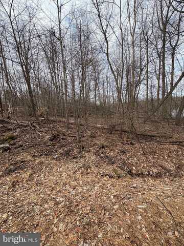 441 W WANNA DRIVE, AUBURN, PA 17922