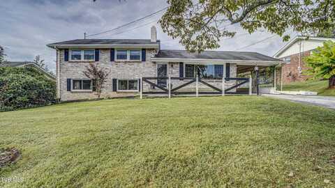 305 Sunnybrook Drive, Bristol, TN 37620