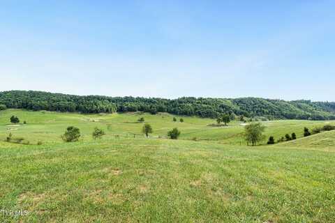 Homestead Way lot: 5, Abingdon, VA 24211