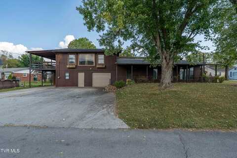 419 Rock Creek Road, Erwin, TN 37650