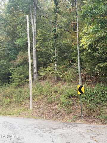 Little Chuckey Road lot: 8, Mosheim, TN 37818