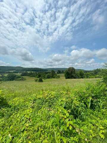 Hollis Stockton Ln, LIVINGSTON, TN 38570