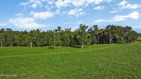 157 Triple J Trail, Jamestown, TN 38556