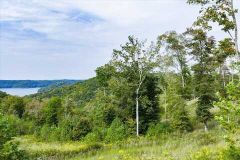 5.3 AC Tr1 Taylor Rd, Byrdstown, TN 38549