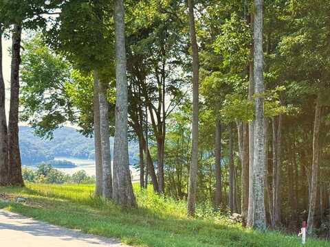 41B Bald Eagle Rd, Hilham, TN 38568