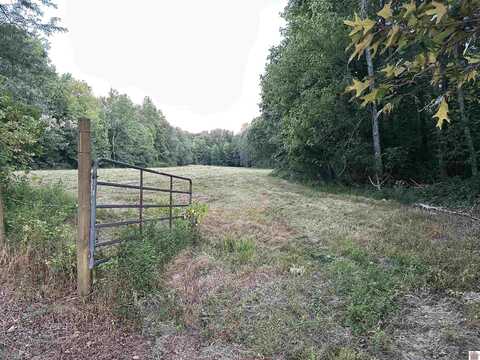 315 Dunaway Lane, Boaz, KY 42027