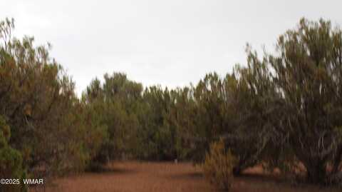 Sec 8 T11N, R22E:, White Mountain Lake, AZ 85912