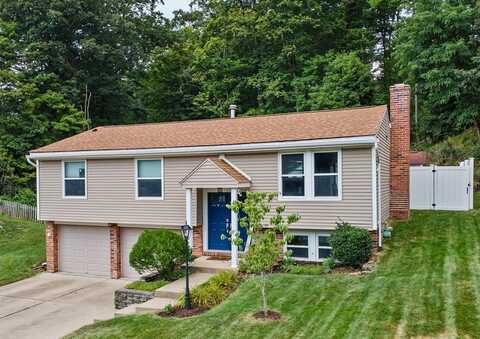 113 Spruce Valley Dr, Reese, PA 15229