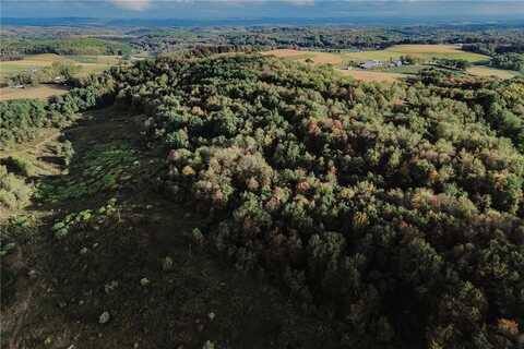 0 Raspberry Rd, Commodore, PA 15728
