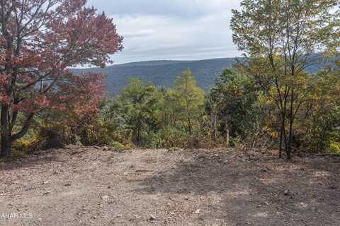 00 Pine Ridge Road, James Creek, PA 16657