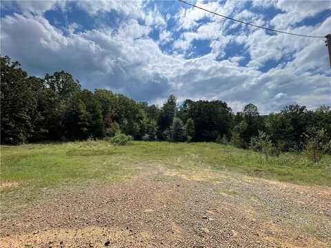 TBD Danville RD, Danville, AR 72833