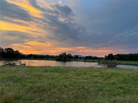 18928 State Hwy 154, Danville, AR 72833