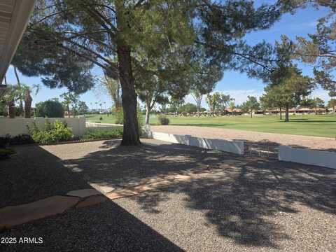 10242 E Spring Creek Road, Sun Lakes, AZ 85248