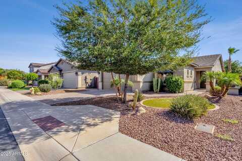 42175 N WOLLEMI Street, Queen Creek, AZ 85140