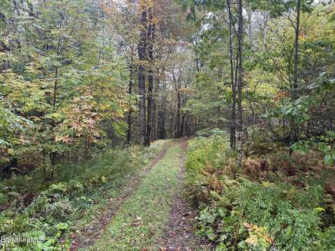 10 Brookside Rd, Peru, MA 01235