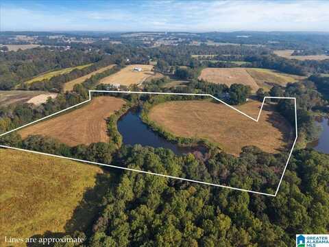COUNTY ROAD 21, HORTON, AL 35980