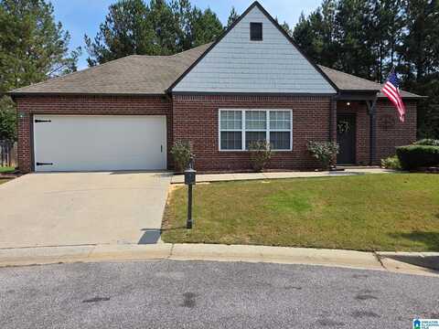364 CHESSER PARK DRIVE, CHELSEA, AL 35043