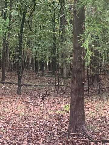 Lot 52 Tannenbaum Roads, Drasco, AR 72530