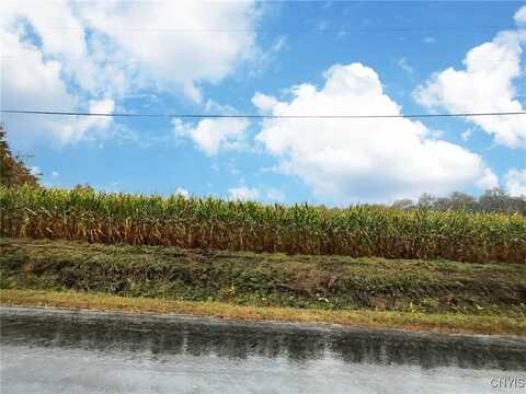 0 Snell Hill Road, Cortland, NY 13045