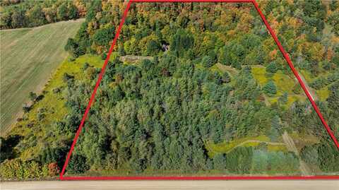 6301 Butts Rd Road, Prattsburgh, NY 14873