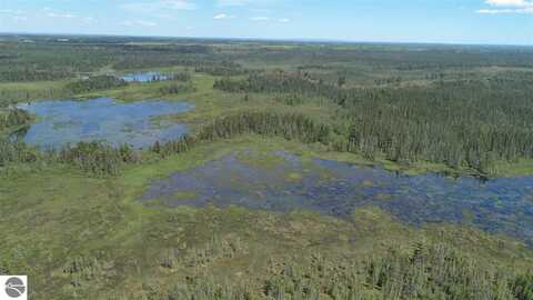 320 ACRES AHO ROAD, RUDYARD, MI 49780