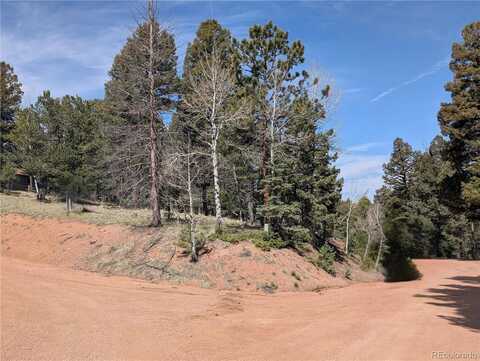 971 Spring Valley Lane, Florissant, CO 80816