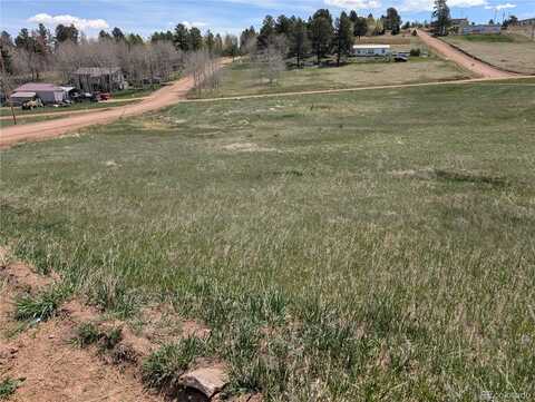 Lot81 + 82 Fountain Dale Lane, Divide, CO 80814