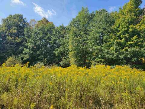 1.3 Acres White, Gladwin, MI 48624