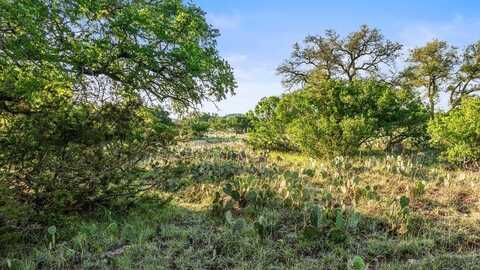 Lot 4 -- Vista Ridge Dr, Round Mountain, TX 78663