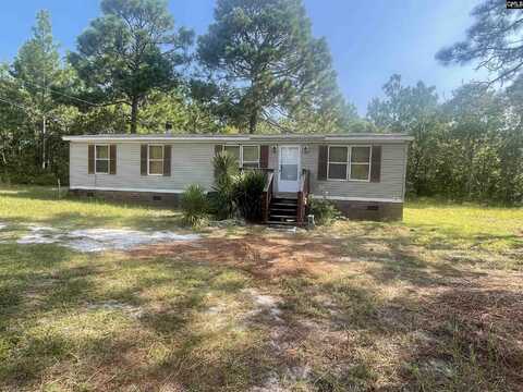 113 Macdermaid Court, Pelion, SC 29123