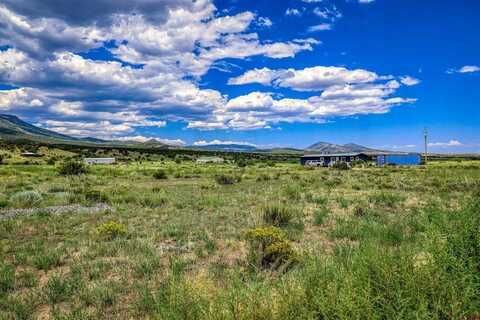 227 Red Feather Road, South Fork, CO 81154