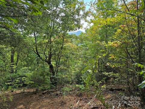 374 Garden Lane, Lake Lure, NC 28746