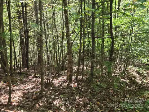 100 Stepp Ridge Court, Hendersonville, NC 28792