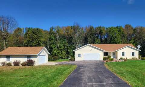 10020 BLUFF DRIVE, Pittsville, WI 54466