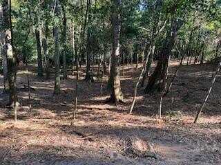 1709 & 1711 Verde Trail, Dothan, AL 36303