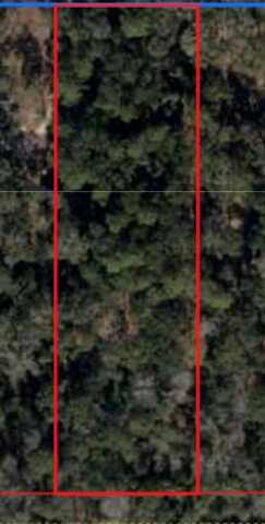 Lot 10 166th Pl, Fanning Springs, FL 32693
