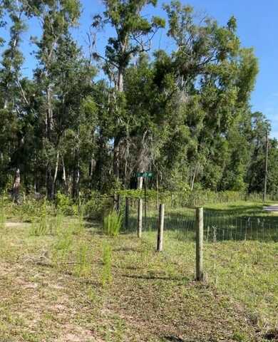 Lot 28 489th St, Old Town, FL 32680