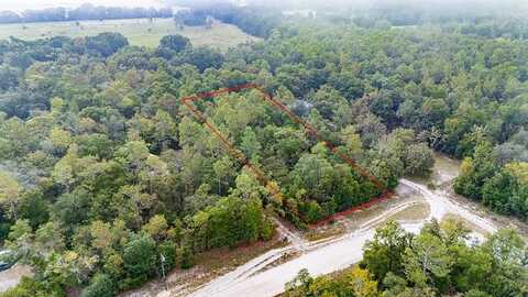 Lot 9 73rd Way, Bell, FL 32619