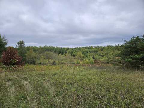 N M-77 South 40 Acres, Germfask, MI 49836