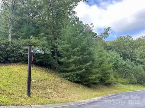 99999 May Fly Lane 115, Horse Shoe, NC 28742