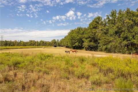 5000 Arabia Drive, Lumber Bridge, NC 28357