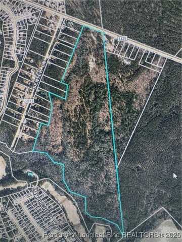 Lemuel Black Road, Bunnlevel, NC 28323