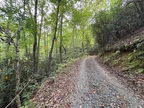 Fox Run Road, Bryson City, NC 28713